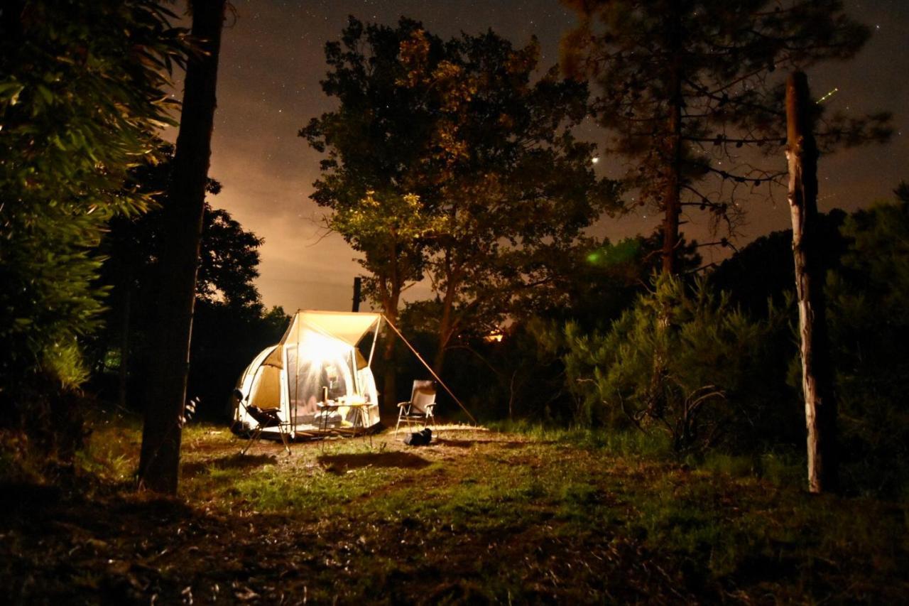 Agriturismo Ca Du Chittu Carro エクステリア 写真