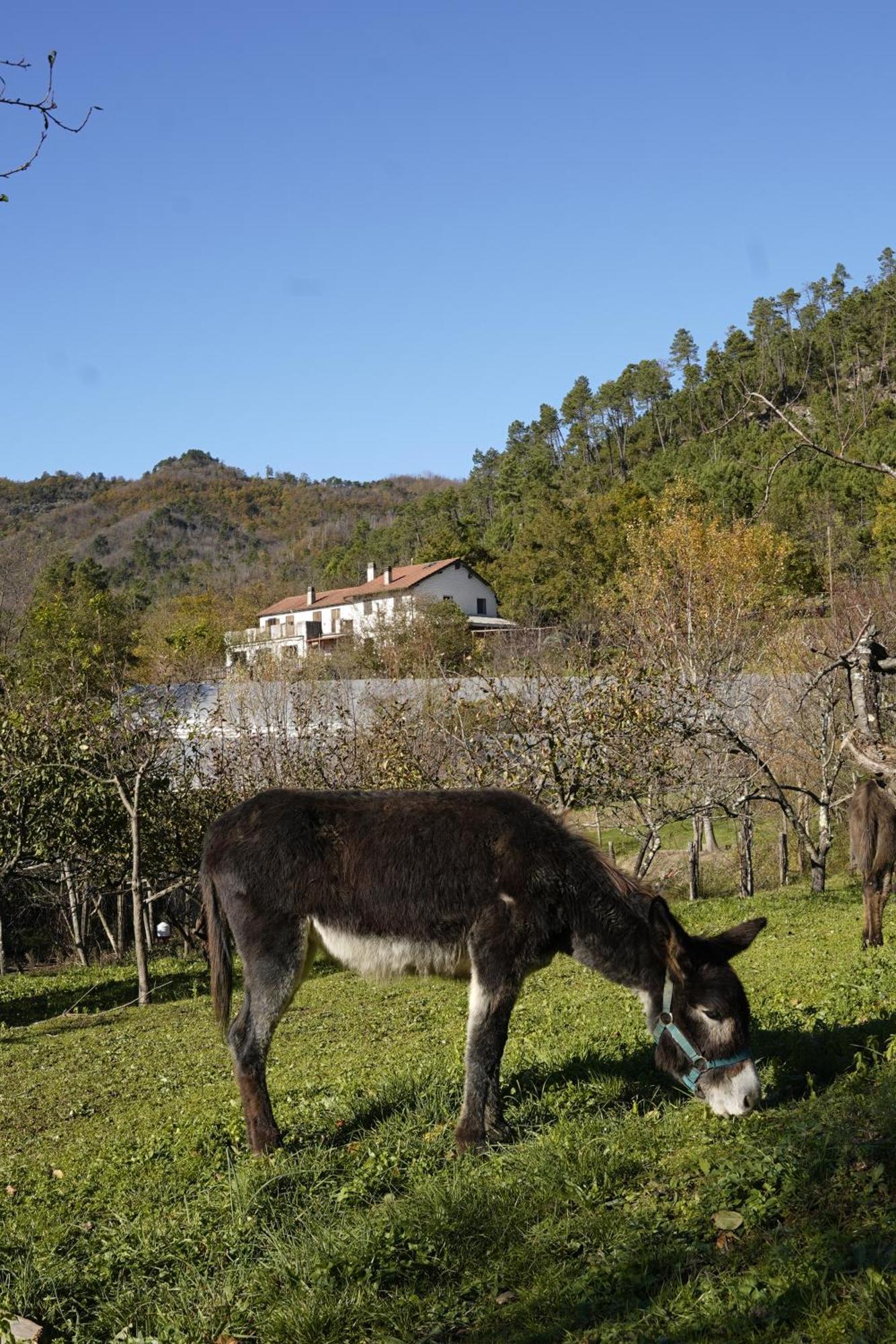 Agriturismo Ca Du Chittu Carro エクステリア 写真