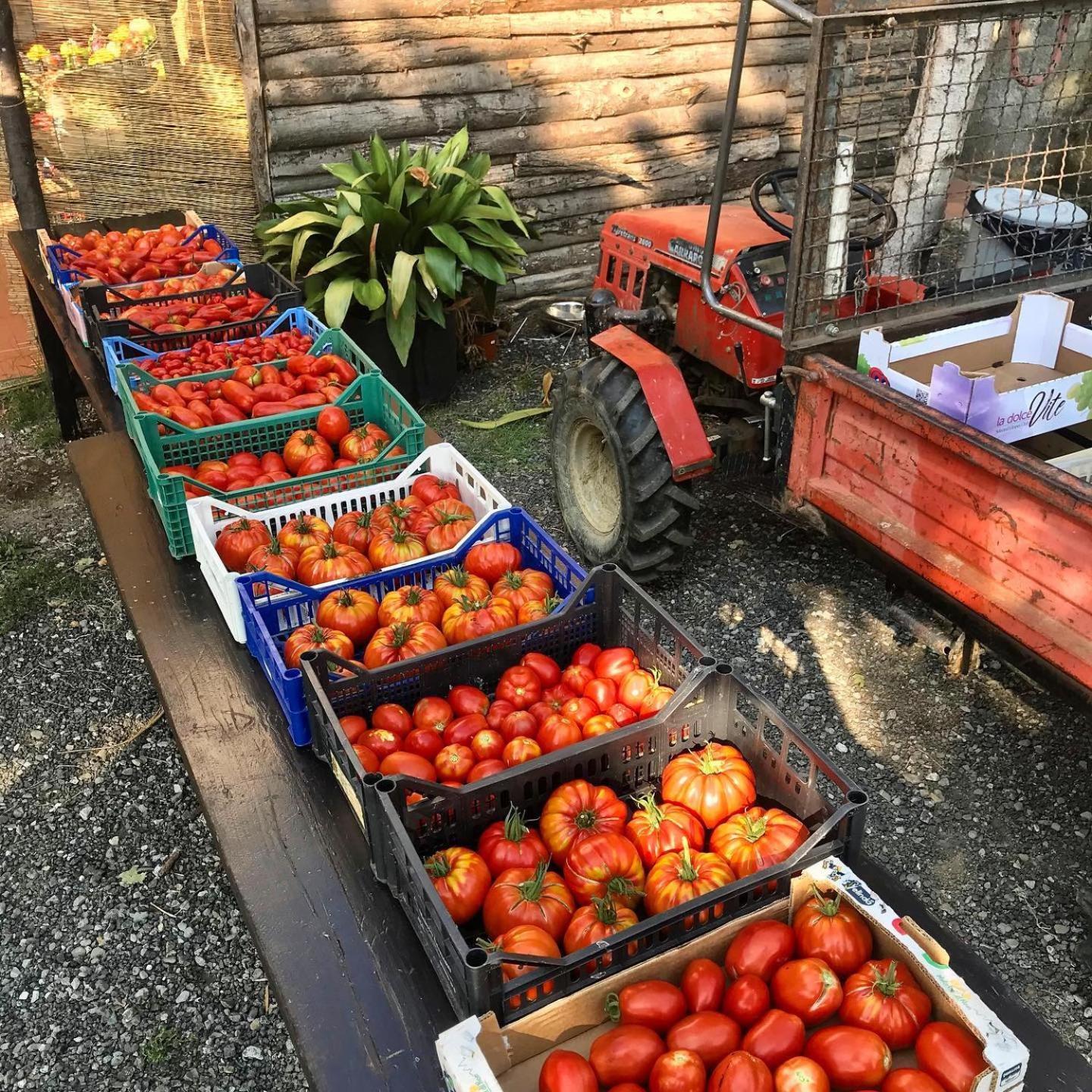 Agriturismo Ca Du Chittu Carro エクステリア 写真