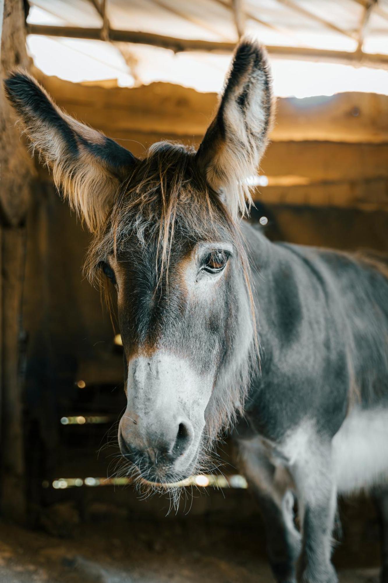 Agriturismo Ca Du Chittu Carro エクステリア 写真